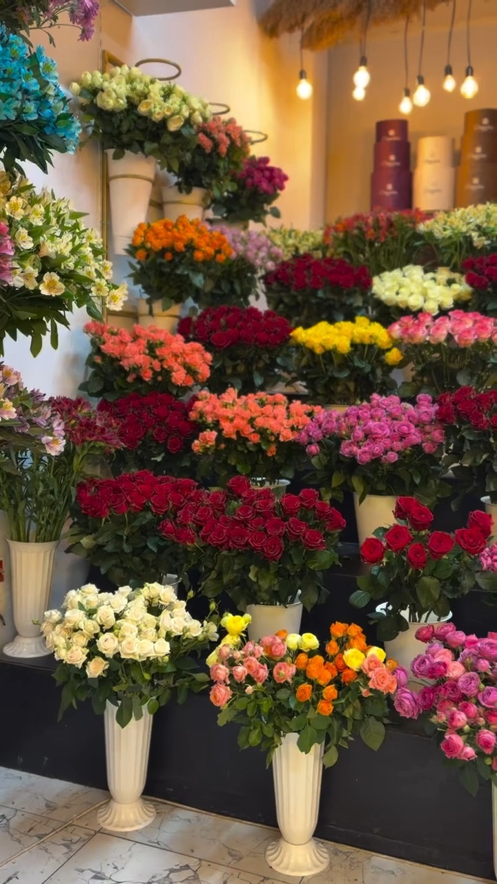 Camellia Flower Garden