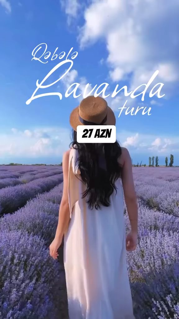 Bella Travel
