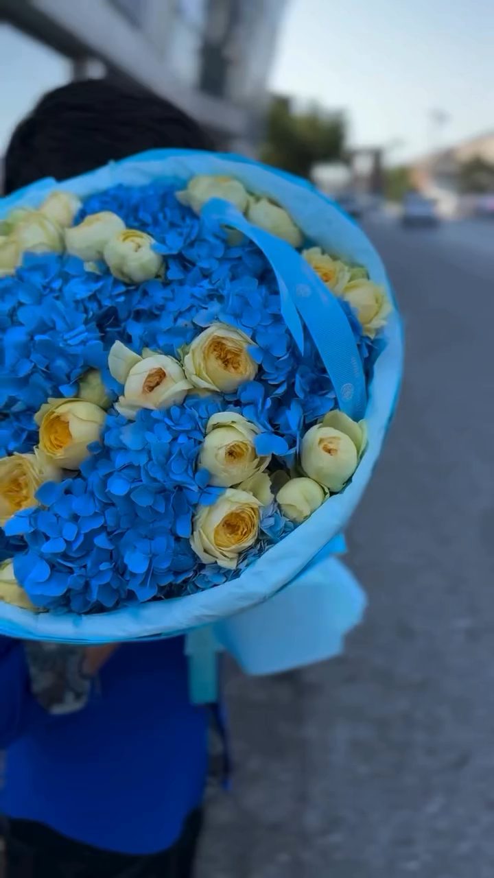 Afloria Gülüm