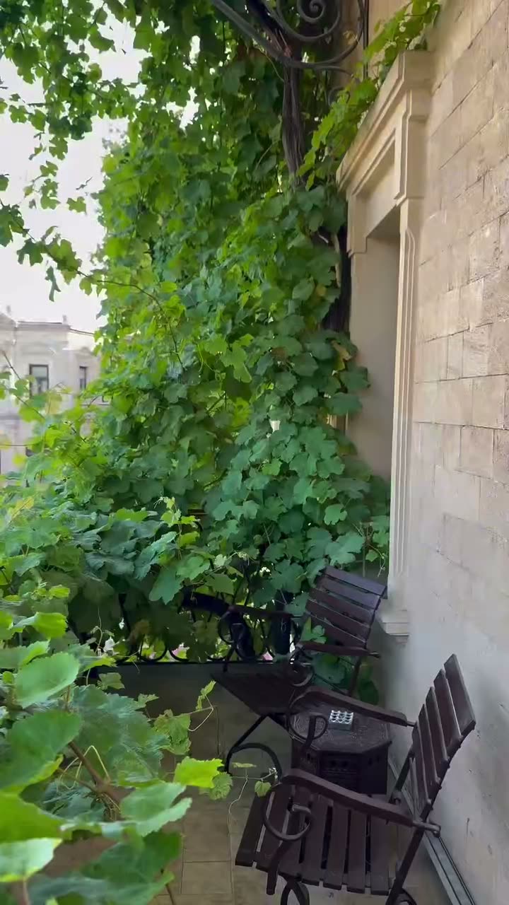 Shah Palace Baku