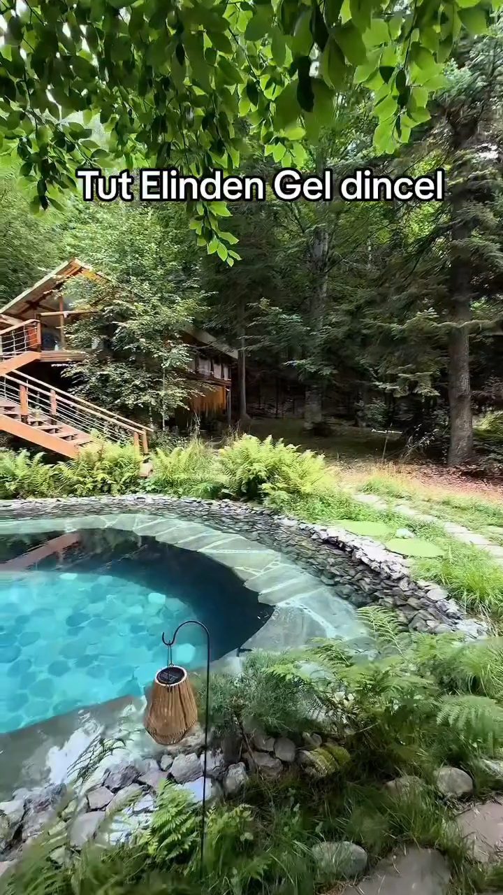 Rent House Qəbələ