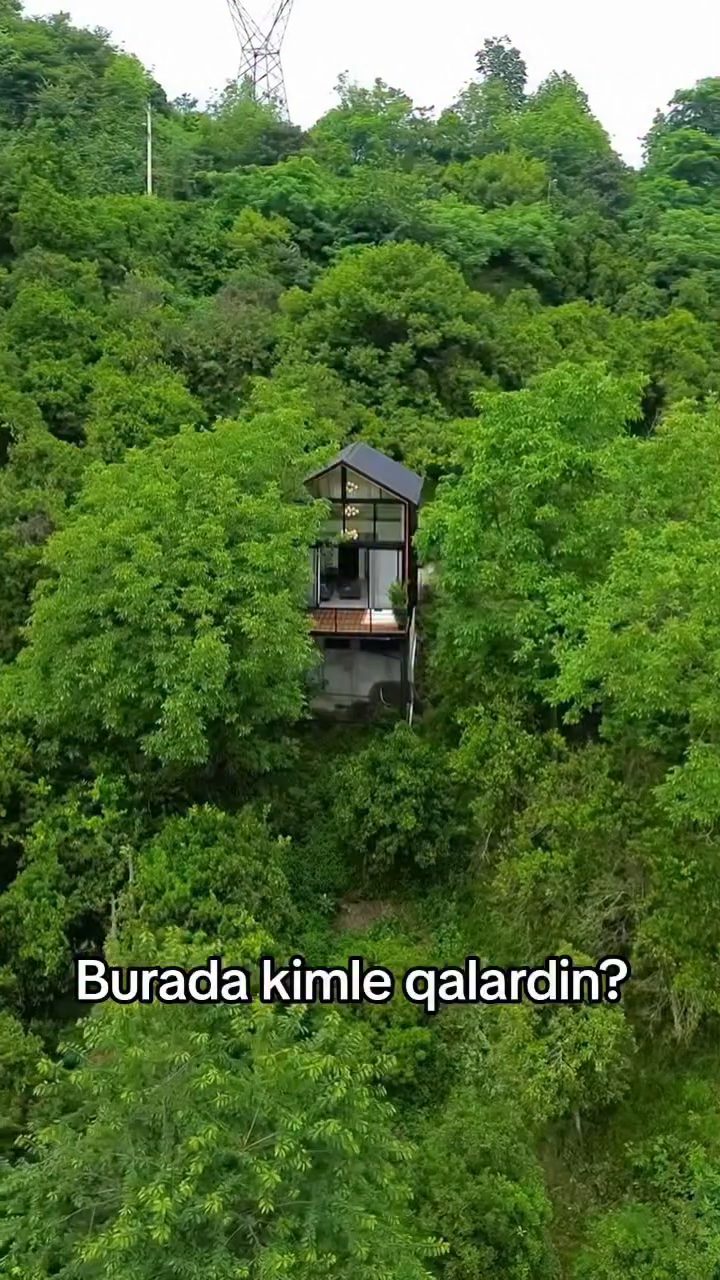 Rent House Qəbələ