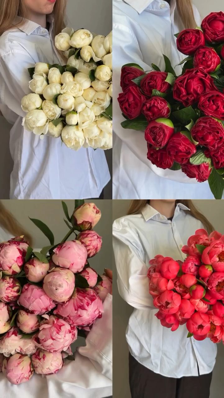 İvy Flowers Baku
