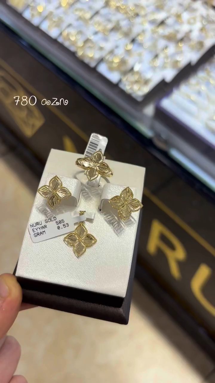 Qızıl Aləmi Nuru Gold