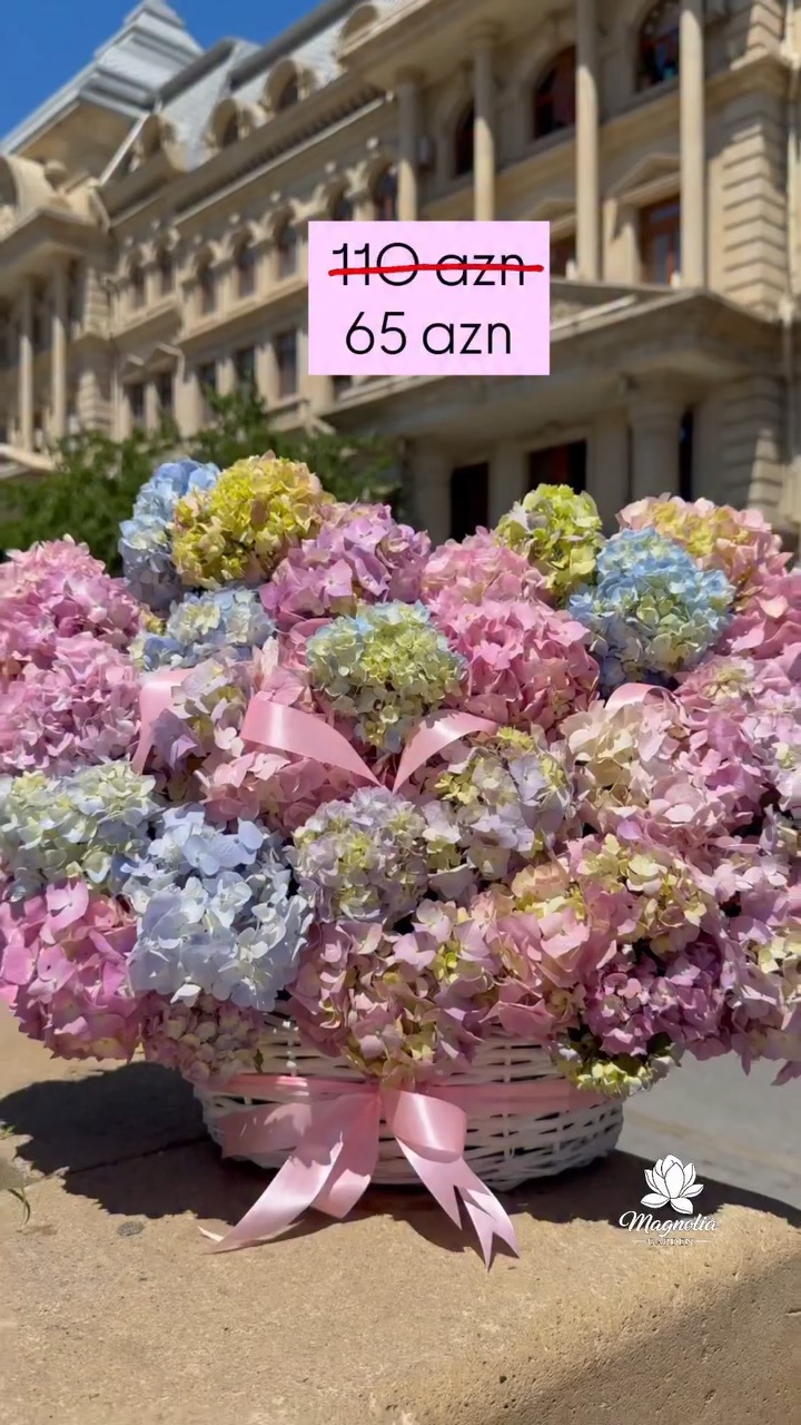 Magnolia Garden