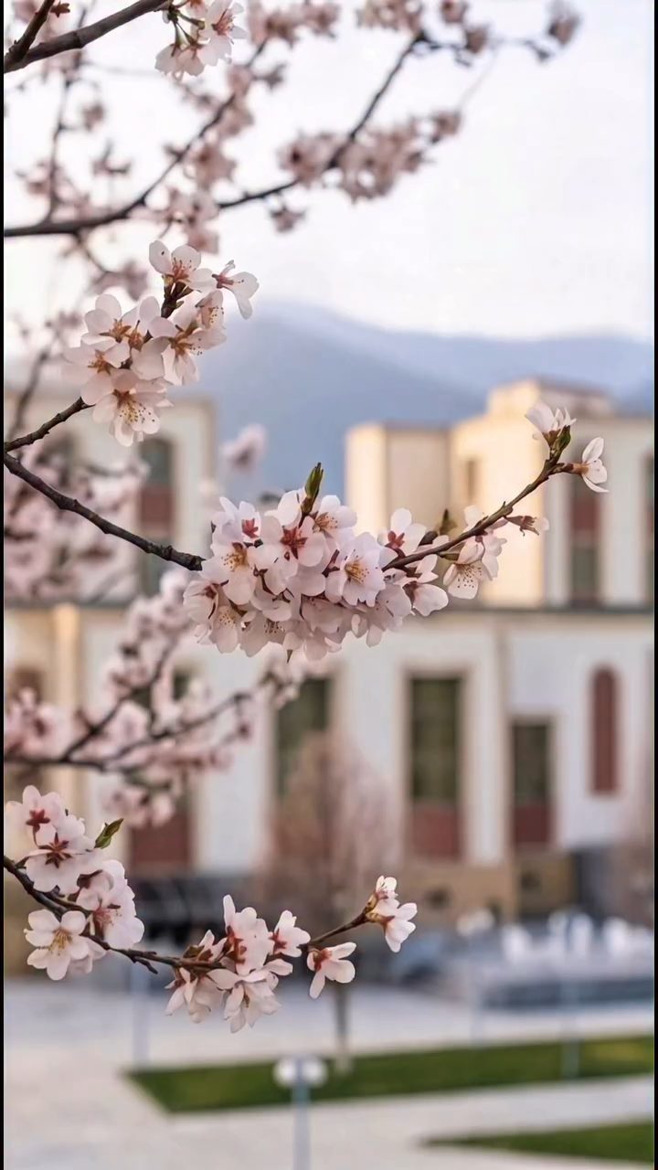 Qəbələ Karvan Saray