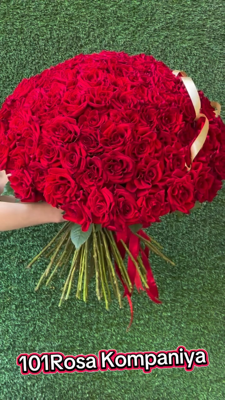 Rose Art Gəncə