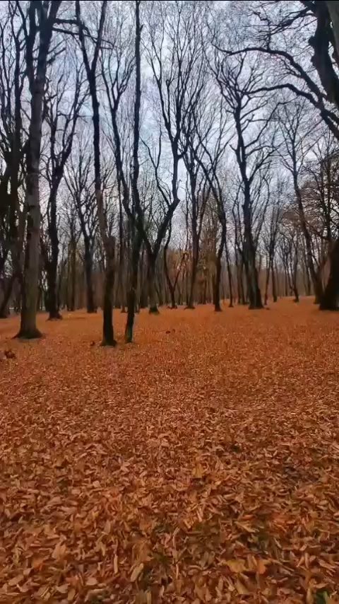 Sumqayit Dan Turlar