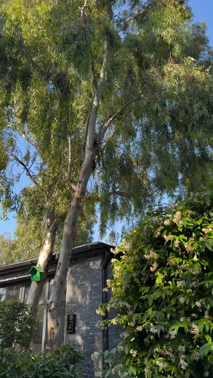 Khalcha Restoranı