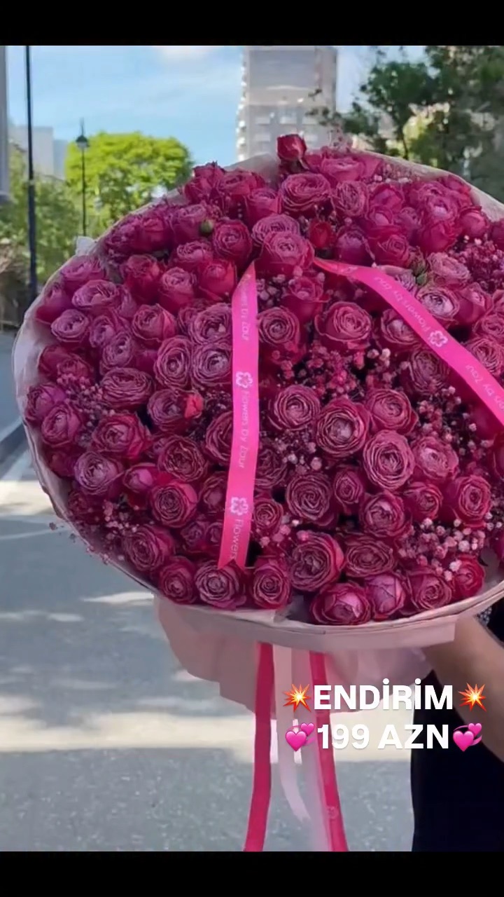 Flowers By Zaur