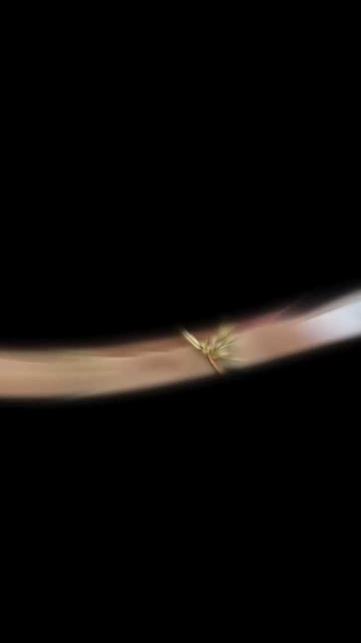 Bərdə Gold