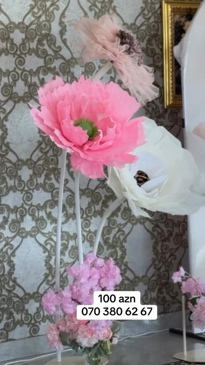 Sumqayıt Dekor Ad Günü Toy Nişan