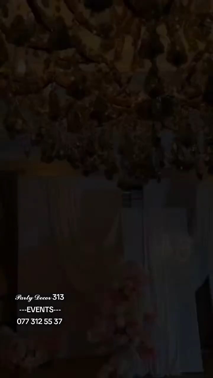 Party Decor 313