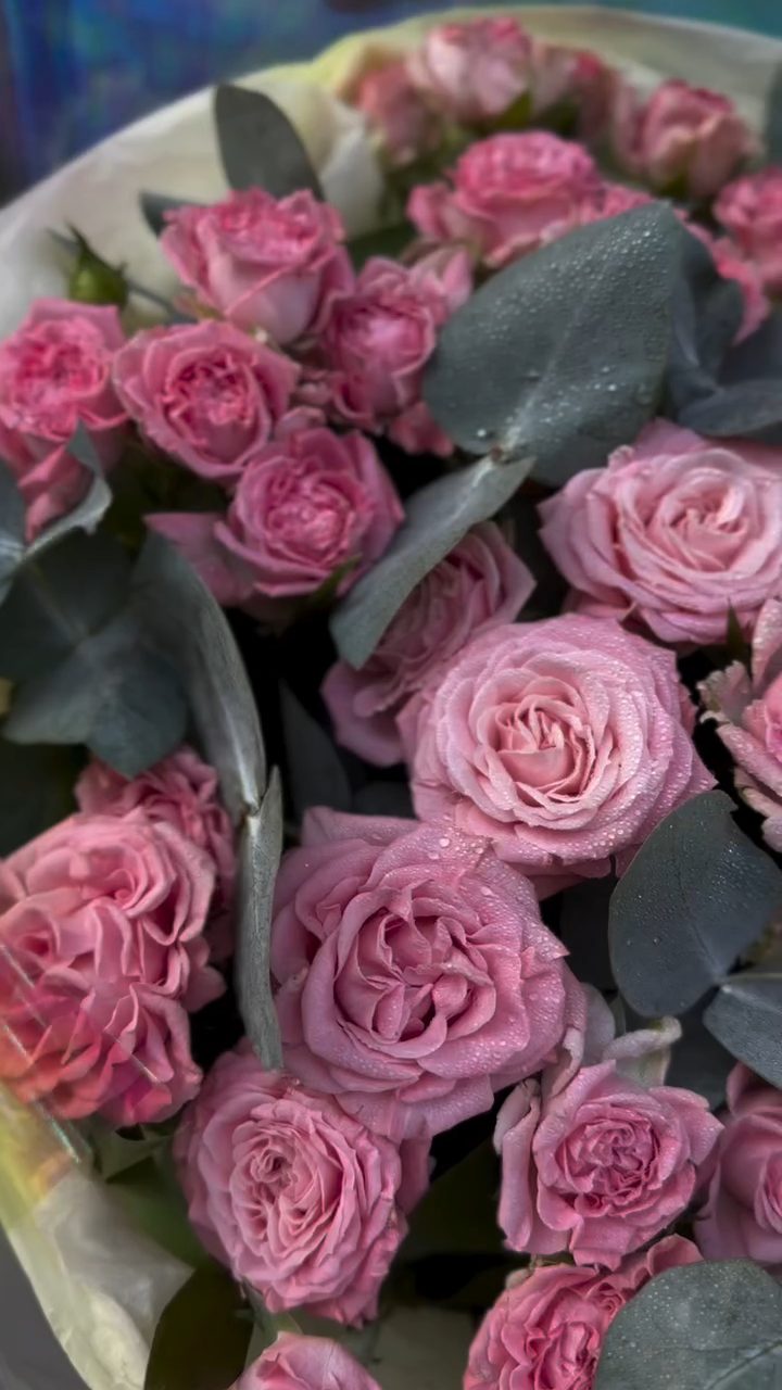 Lamia Flowers