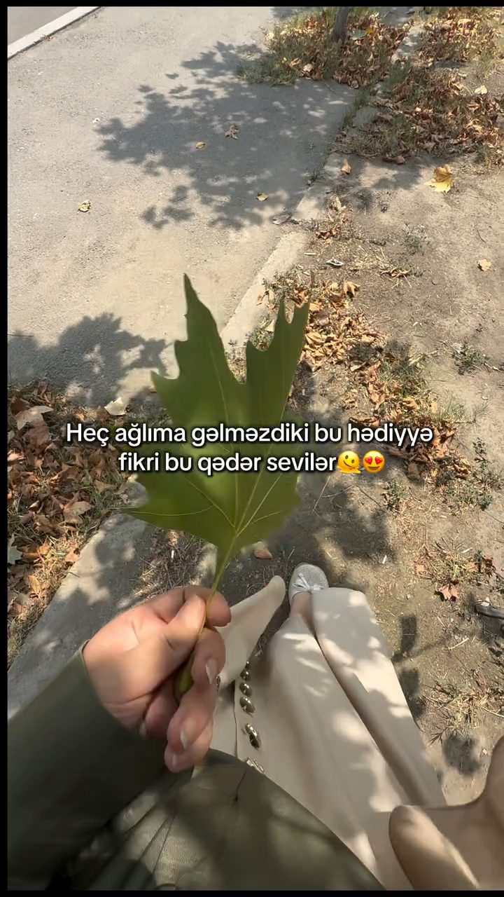 M.Lalart