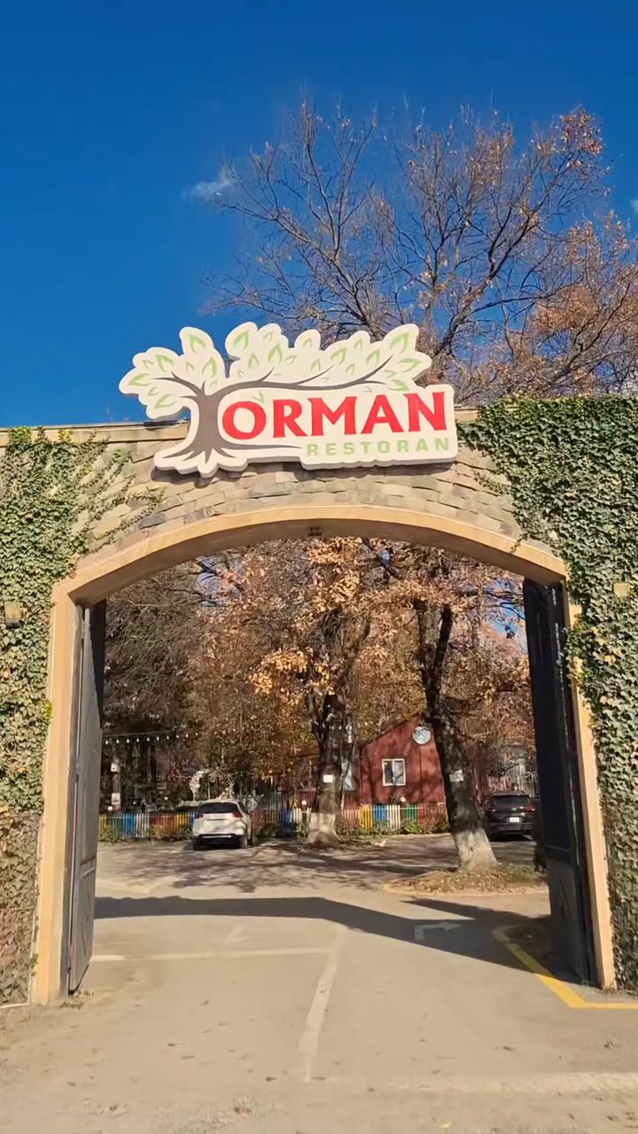 Orman İsmayıllı