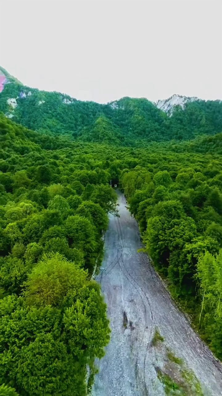 Şəki Yaylası
