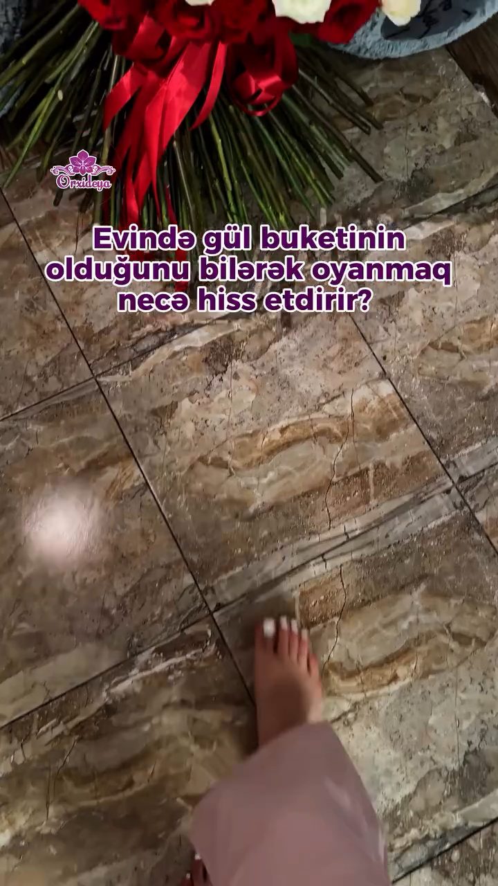 Orxideya Gül Salonu Zaqatala
