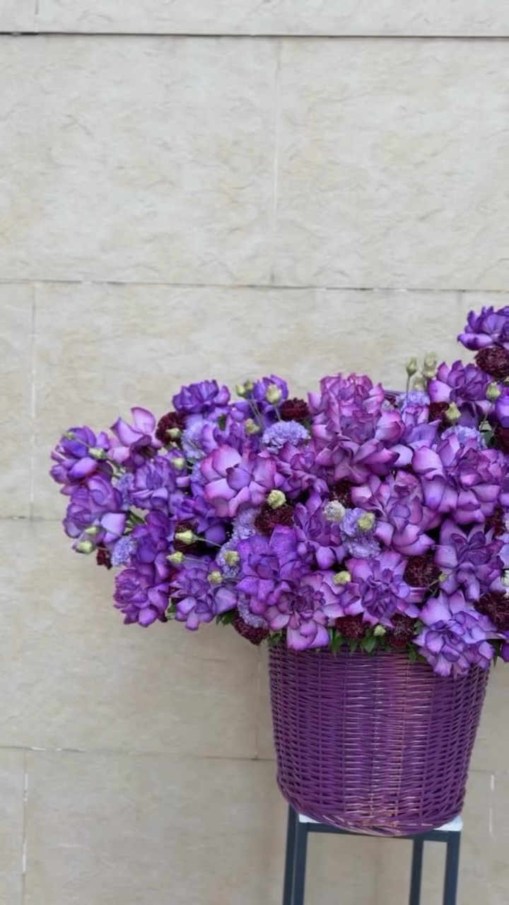 Azalea Flowers Baku
