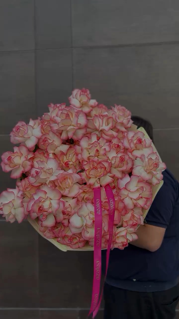 Azalea Flowers Baku