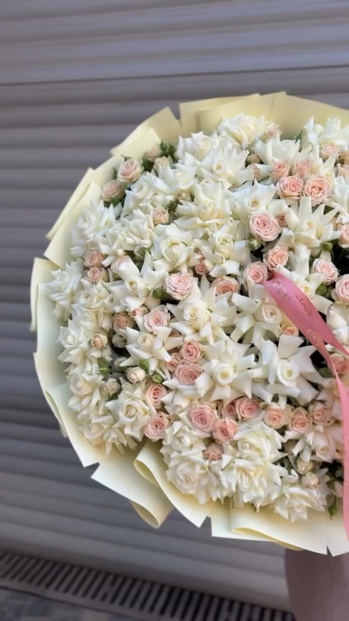 Azalea Flowers Baku