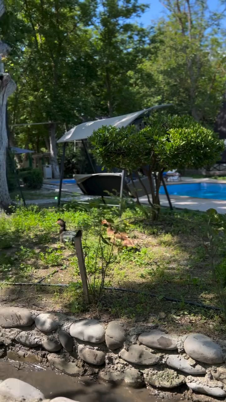 Lisan Villas Nabran