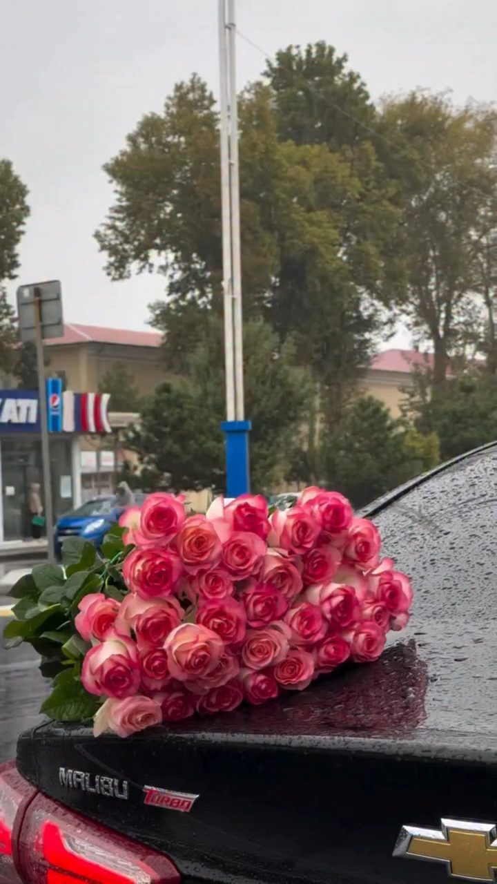 Bəyaz Flowers