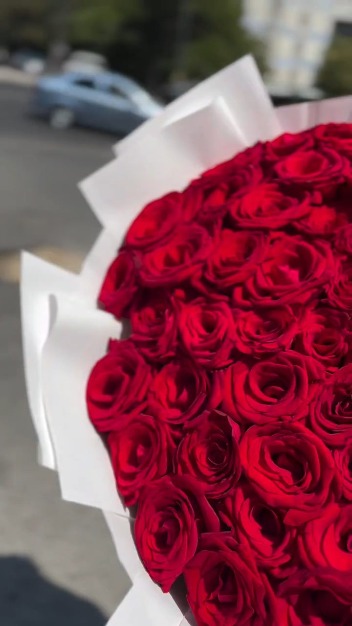 Bəyaz Flowers