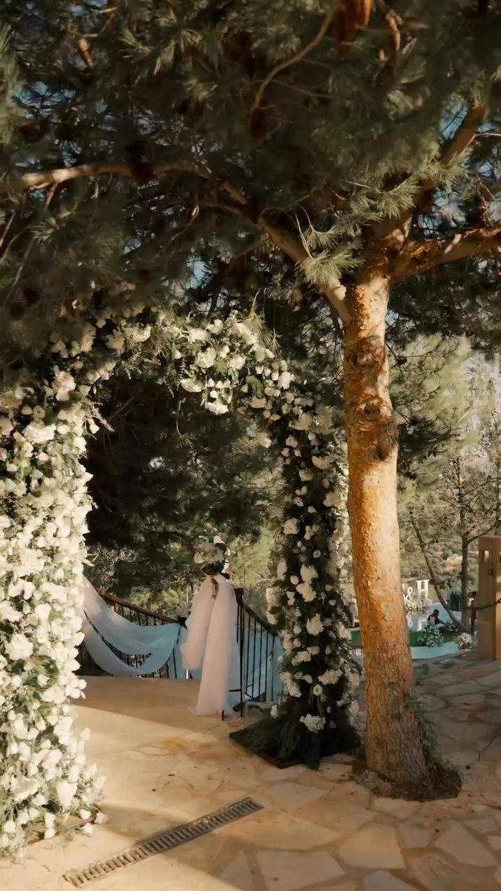 Mountain Breeze Resort