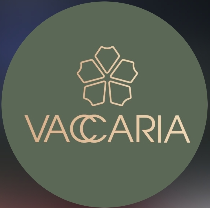 Vaccaria Flowers.Az