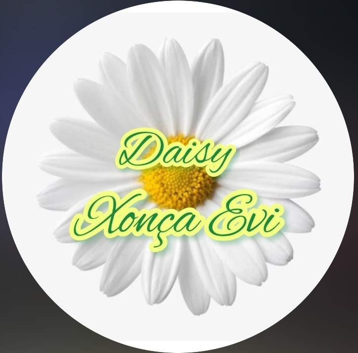 Daisy Xonça Evi