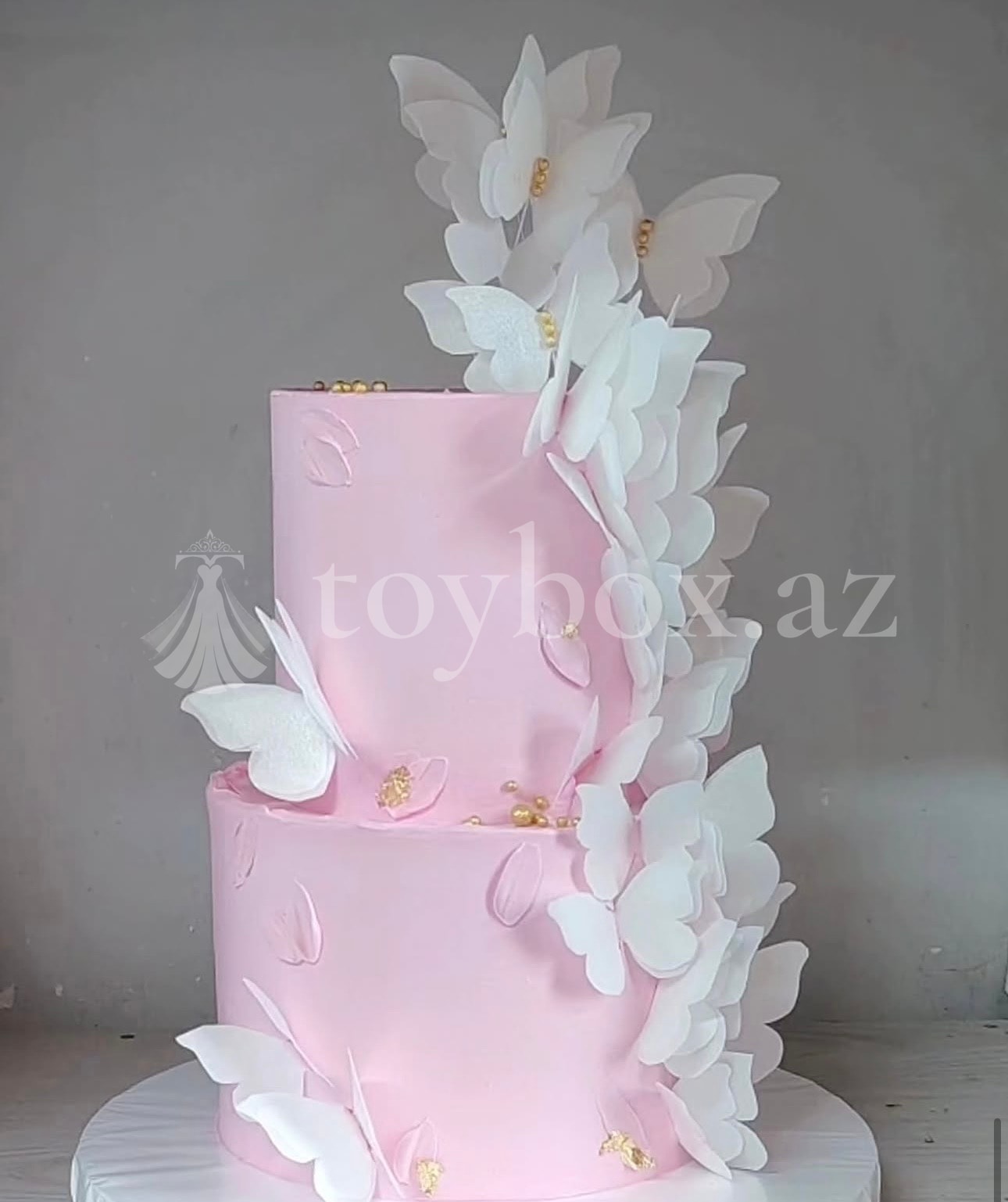 Tort Evi Naxçıvan