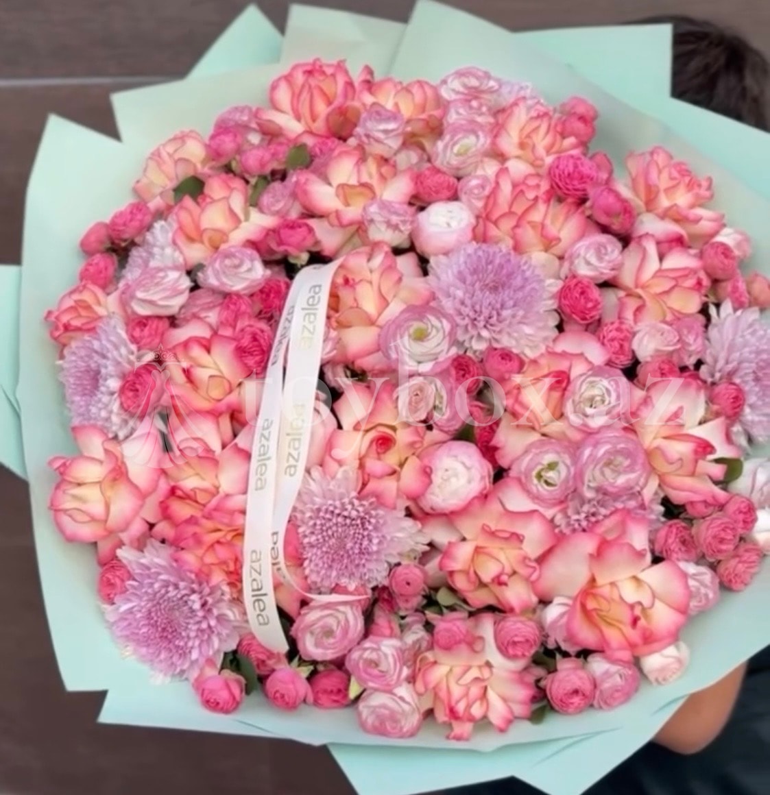 Azalea Flowers Baku